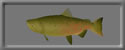 3D Chinook free rwx