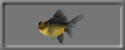 3D Pop-eyed goldfish free rwx