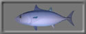 3D Bluefin tuna free rwx