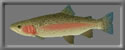 3D Steelhead free rwx