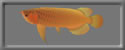 3D Asia Arowana free rwx