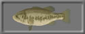 3D Largemouth Bass free rwx