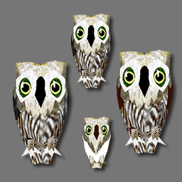 3D  owl ( RWX free )