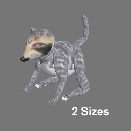 3D Avatars Raccoon ( Cob free )