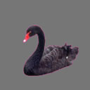 Black swan free mask