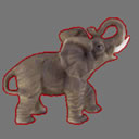 elphant