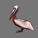 pelican free mask