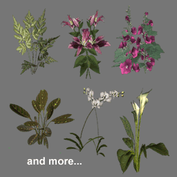 3D Flowers ( free rwx )