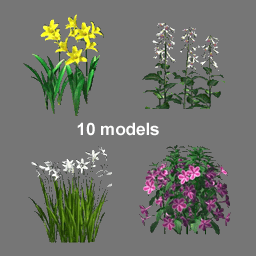 3D Flowers ( free rwx )