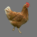Sprite Chicken ( free rwx )