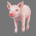 Sprite Pig ( free rwx )