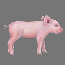 Sprite Pig ( free rwx )