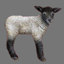 Sprite Lamb ( free rwx )