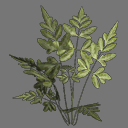 Sprite Plant ( FREE RWX )