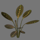 Sprite Plant ( FREE RWX )
