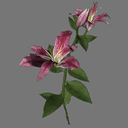 Sprite Flower ( FREE RWX )