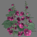 Sprite Flower ( FREE RWX )