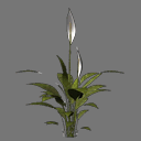 Sprite Flower ( FREE RWX )