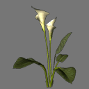 Sprite Flower ( FREE RWX )