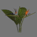 Sprite Flower ( FREE RWX )