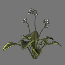 Sprite Flower ( FREE RWX )