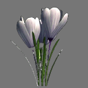 Sprite Flower ( FREE RWX )