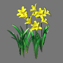 Sprite Flower ( FREE RWX )