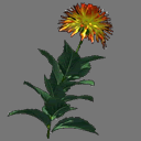 Sprite Flower ( FREE RWX )