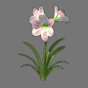 Sprite Flower ( FREE RWX )