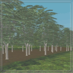 3D Tree RWX ( rwx free )