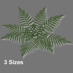 3D Fern ( free rwx )