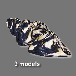 3D Coquillage ( free rwx )