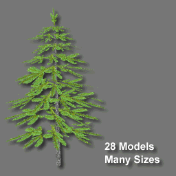 3D Trees Pin ( free rwx )