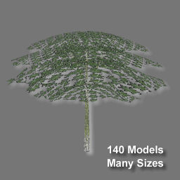 3D Trees ( free rwx )