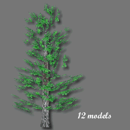 3D Arbres Cyprs ( free rwx )