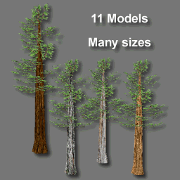 3D Trees redwoods ( free rwx )