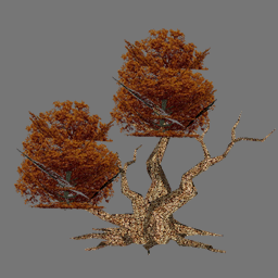 3D Arbres RWX ( free rwx )