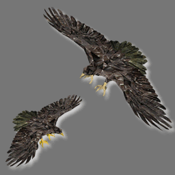 3D Avatars Aigle (free rwx)