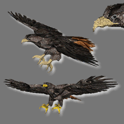 3D Avatars Eagle rwx