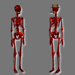 3D Skeleton avatars ( RWX FREE )