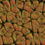 Texture ground FREE