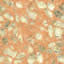 Texture marble FREE