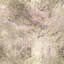 Texture marble FREE