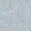 Texture marble FREE