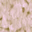 Texture marble FREE