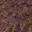 Texture Stone FREE