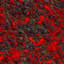 Texture Stone FREE