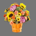 2D Sprite Flower (rwx free)