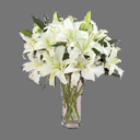 2D Sprite Flower (rwx free)