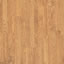 Texture free Wood (free)